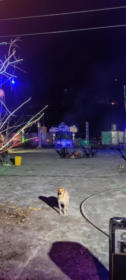 Stayhigh Camps & Cottages Kasol Eksteriør bilde